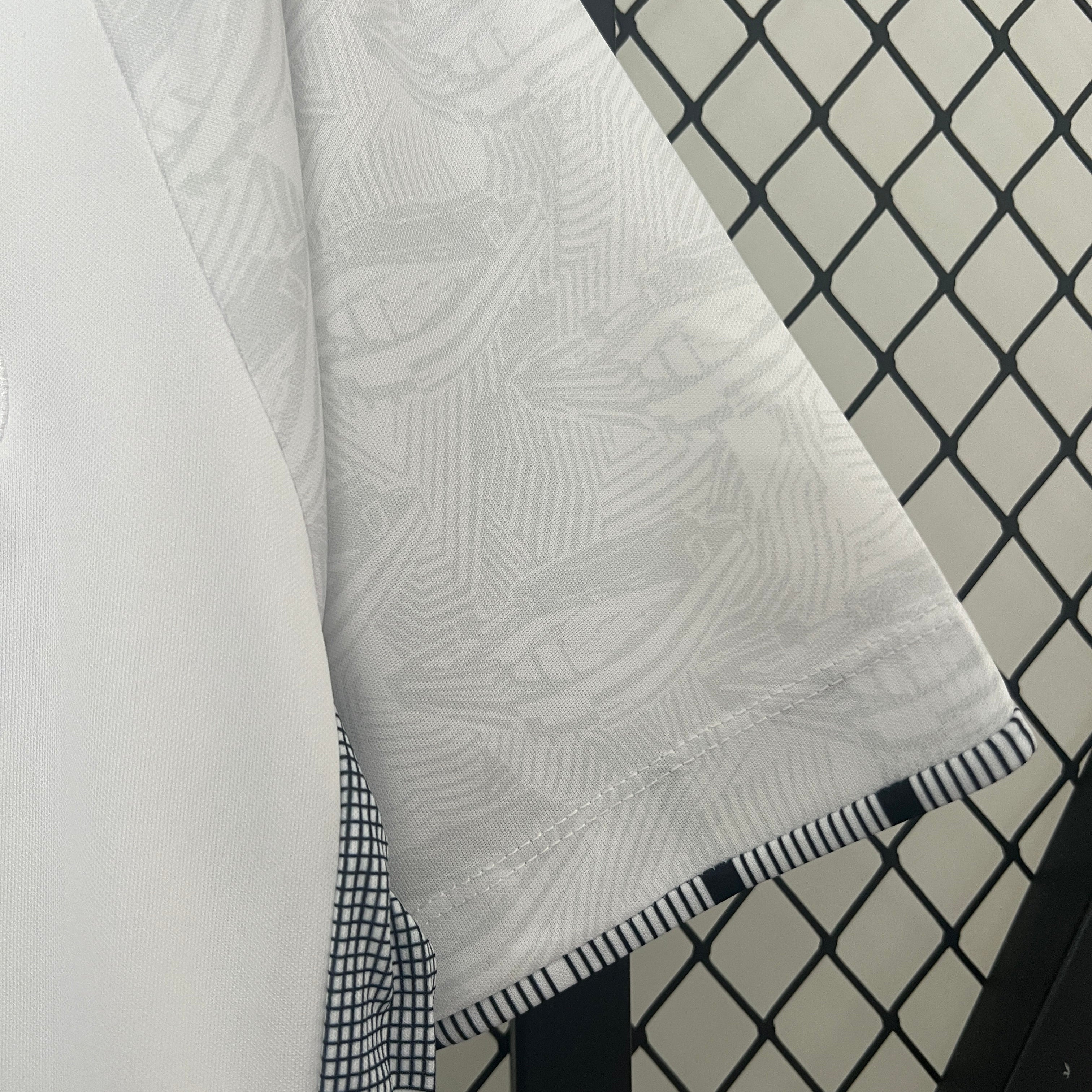 ENTREGA INMEDIATA SANTOS LOCAL 2024 VERSION FAN