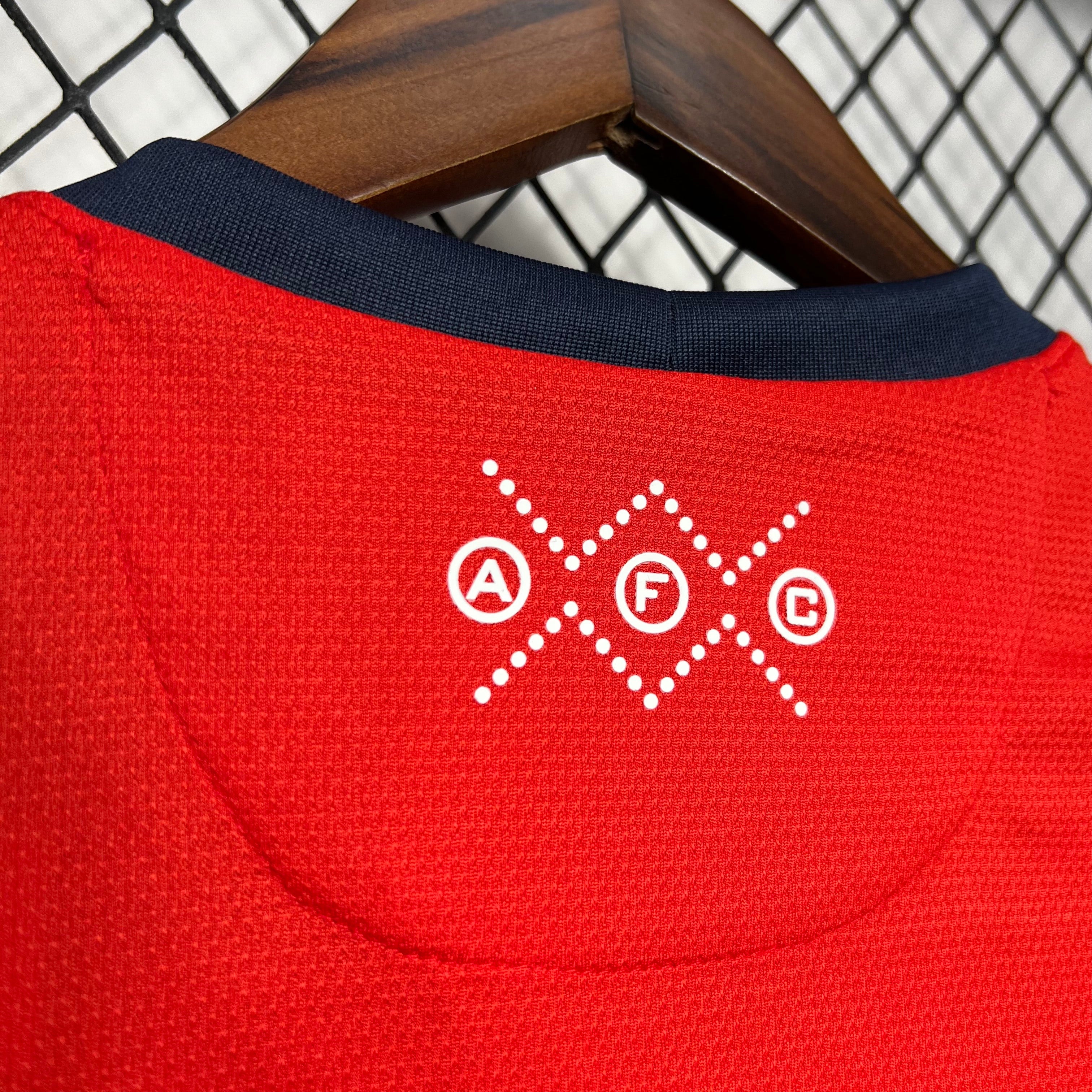 ENTREGA INMEDIATA ARSENAL LOCAL 2012 VERSION FAN