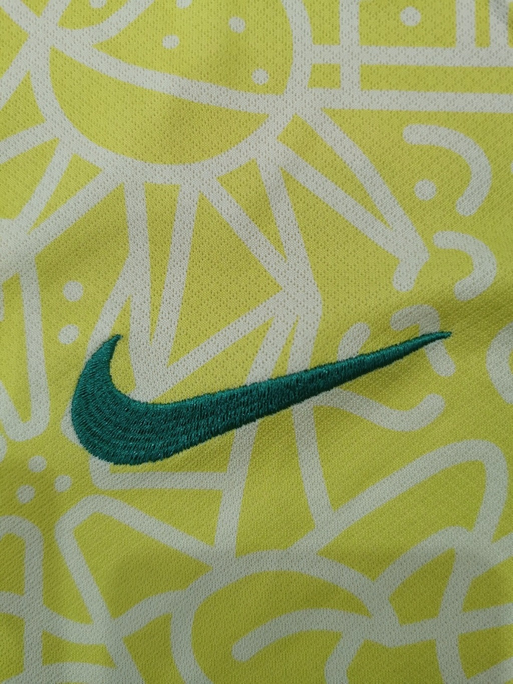 ENTREGA INMEDIATA BRASIL LOCAL 2024 VERSION FAN